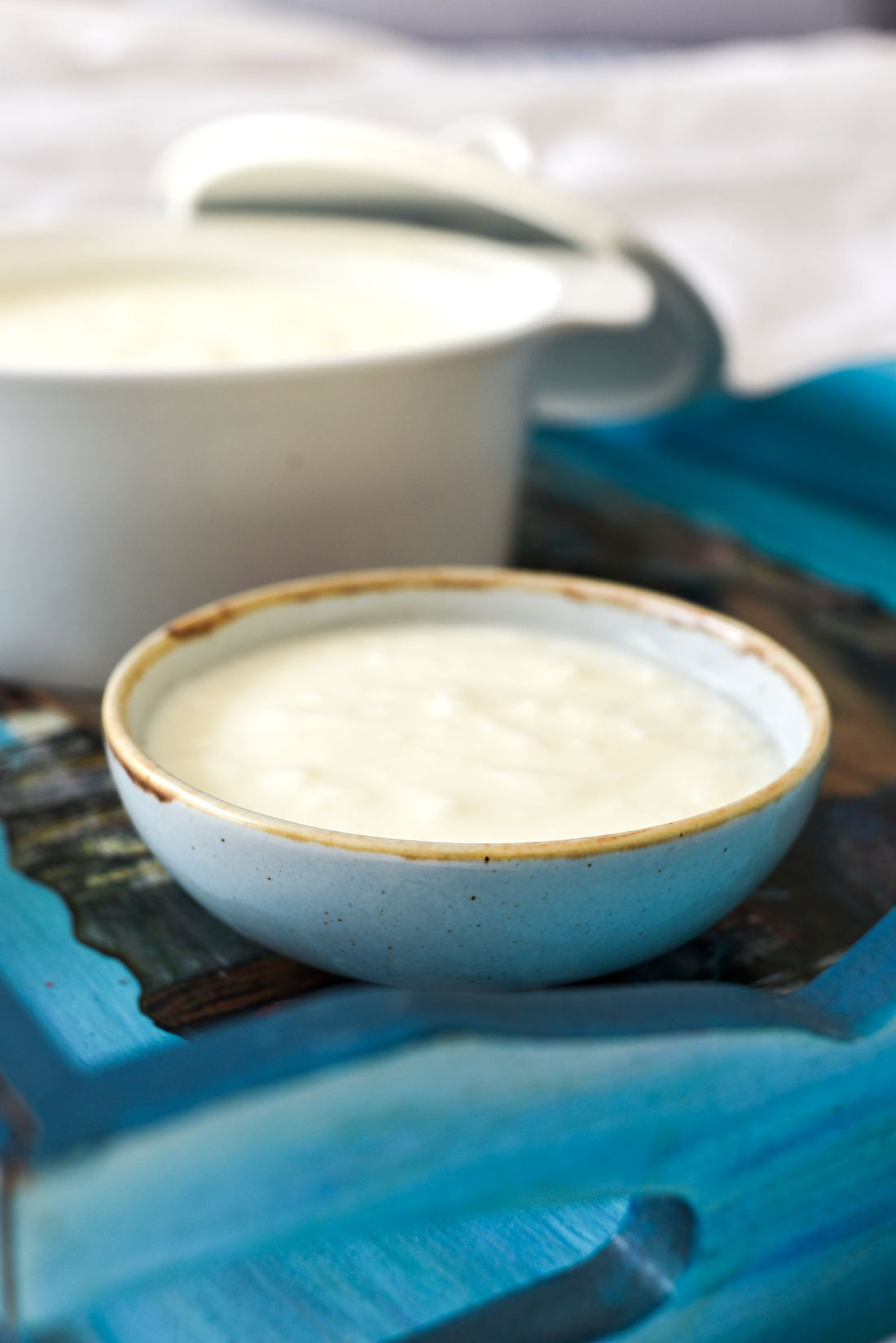 Fermented foods and the gut microbiome